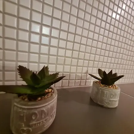 Panorama 41-c 아파트 *